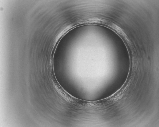 X0000059851234200511111802