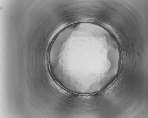 X0000059851235200511111802