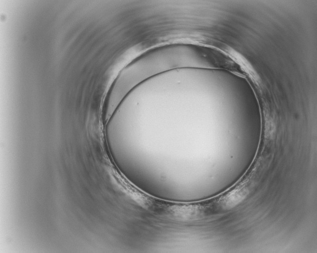 X0000059851240200511111803