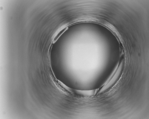 X0000059851242200511111803