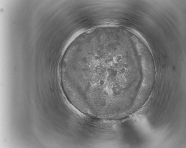 X0000059851243200511111803