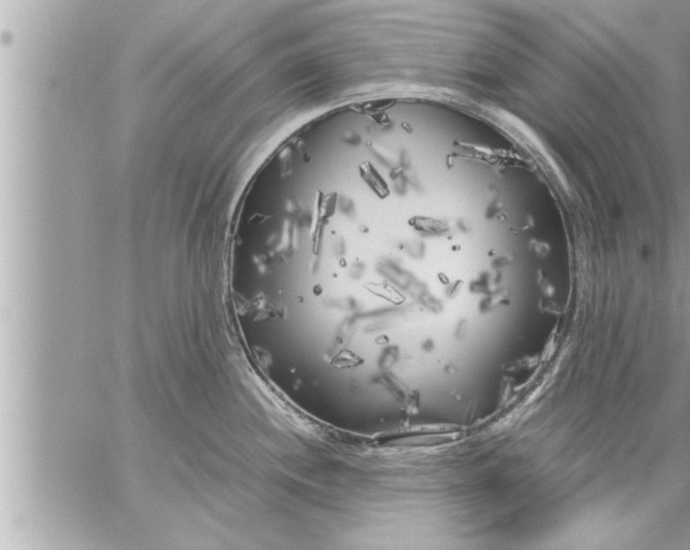 X0000059851244200511111803