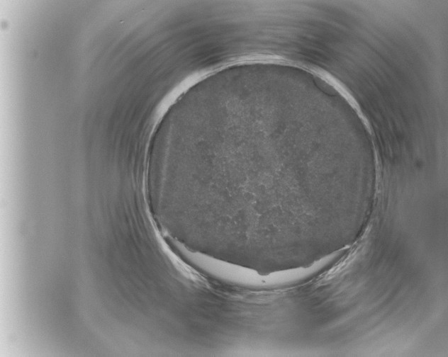 X0000059851245200511111803