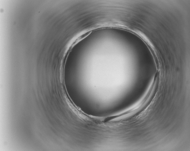 X0000059851246200511111803