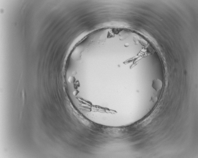 X0000059851248200511111803