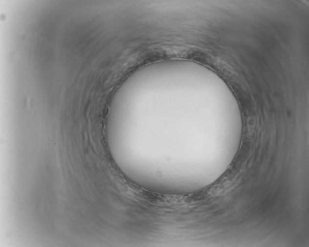 X0000059851249200511111802