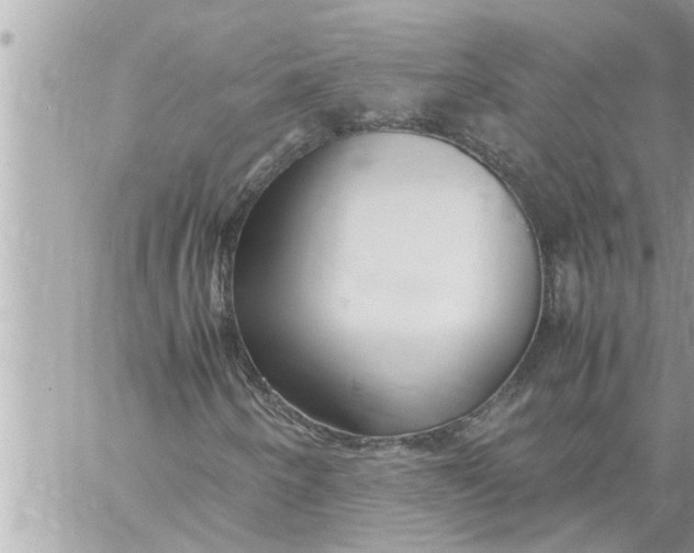 X0000059851250200511111802