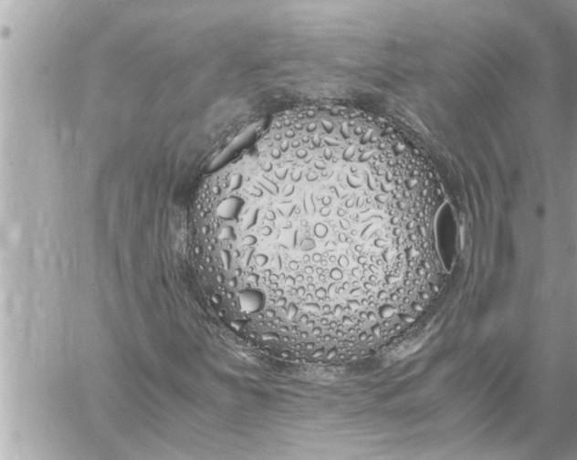 X0000059851251200511111802