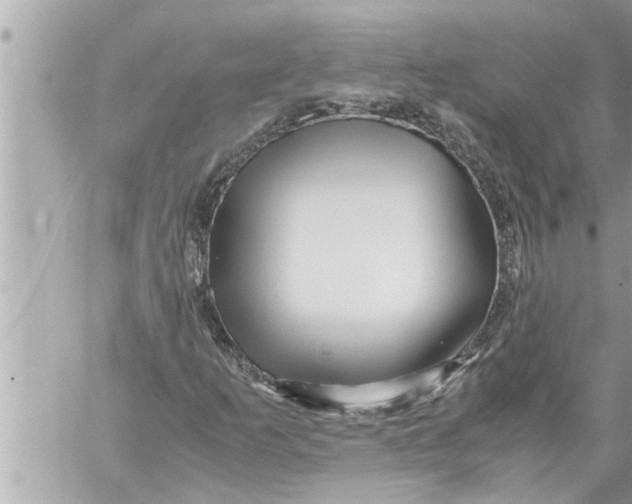 X0000059851253200511111802