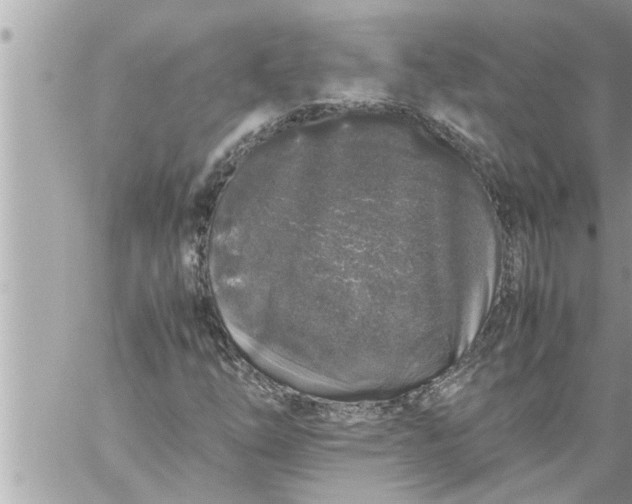 X0000059851254200511111802