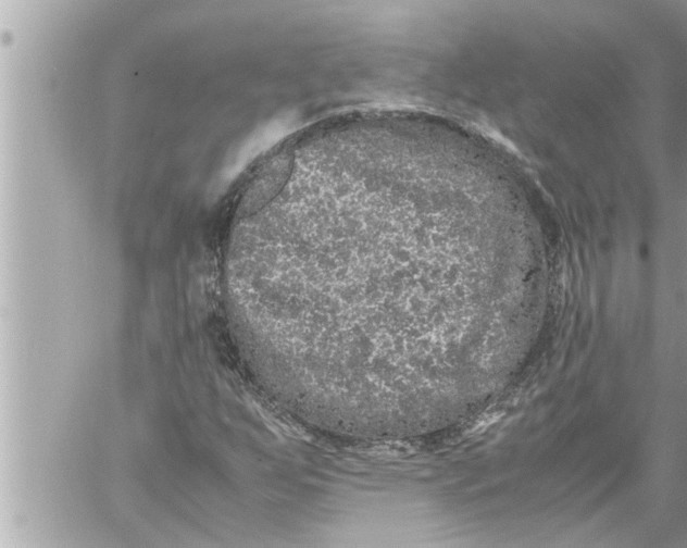 X0000059851255200511111802