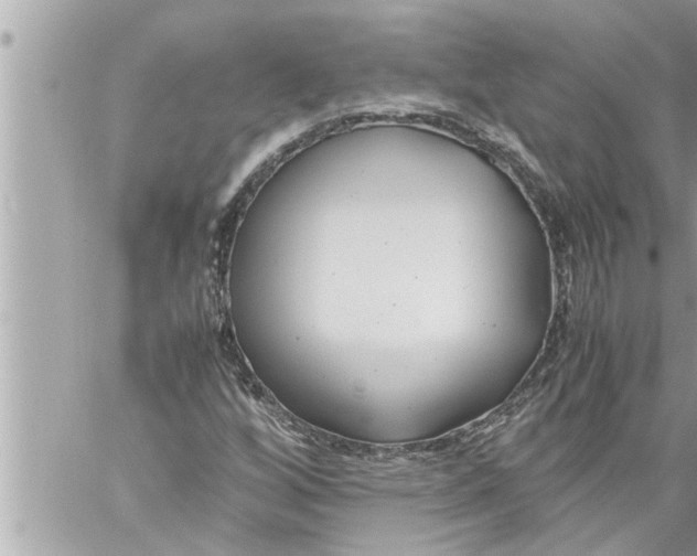 X0000059851256200511111802