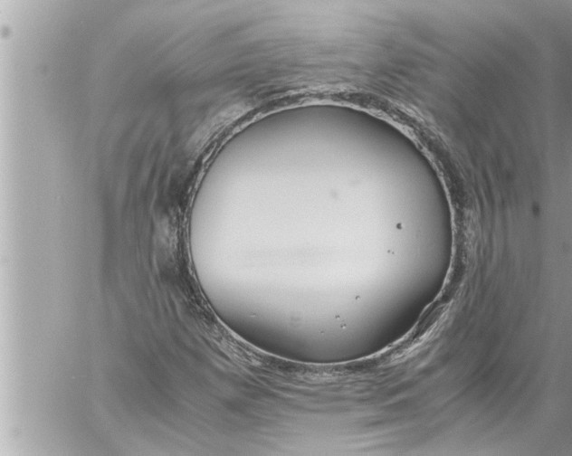 X0000059851257200511111802