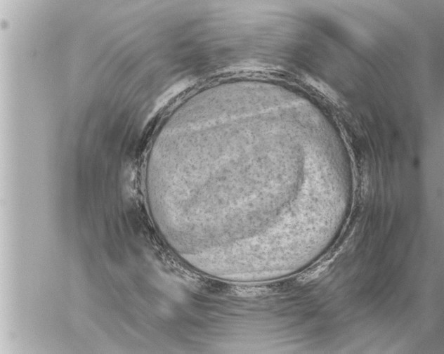 X0000059851258200511111802