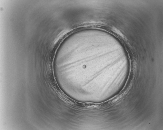 X0000059851259200511111802