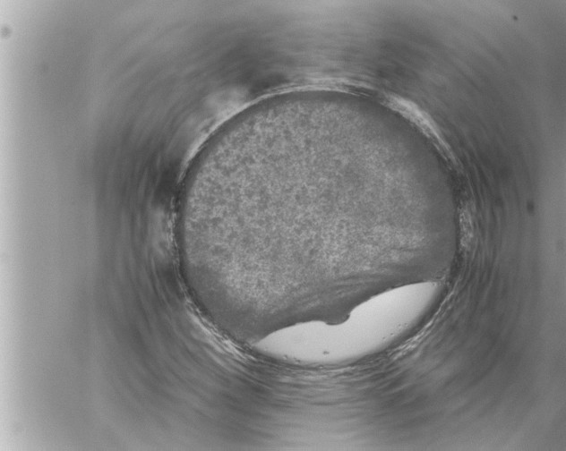 X0000059851260200511111802