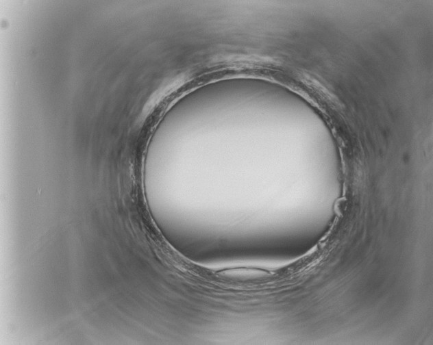 X0000059851261200511111802