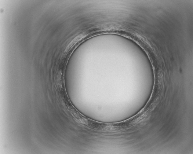 X0000059851265200511111802