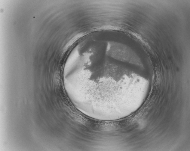 X0000059851266200511111802