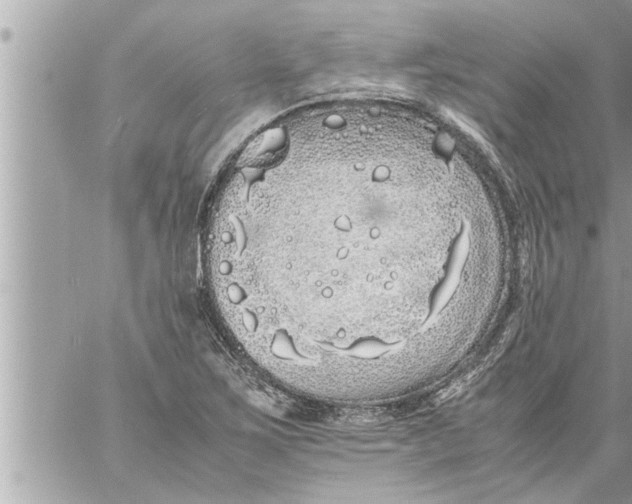 X0000059851267200511111802