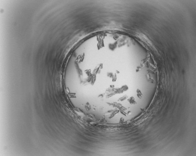 X0000059851268200511111802