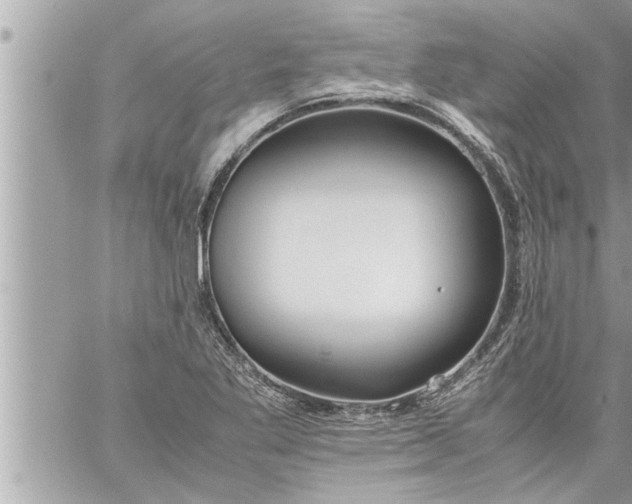 X0000059851269200511111802