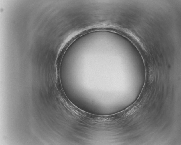 X0000059851270200511111802