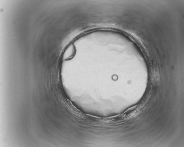 X0000059851271200511111801