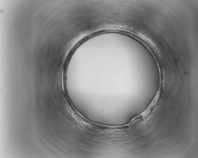 X0000059851272200511111801