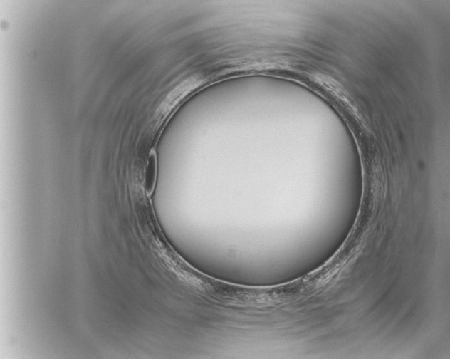 X0000059851273200511111801