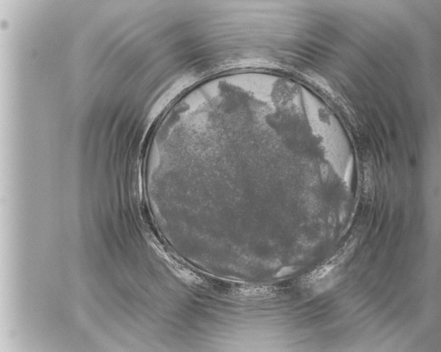 X0000059851274200511111801