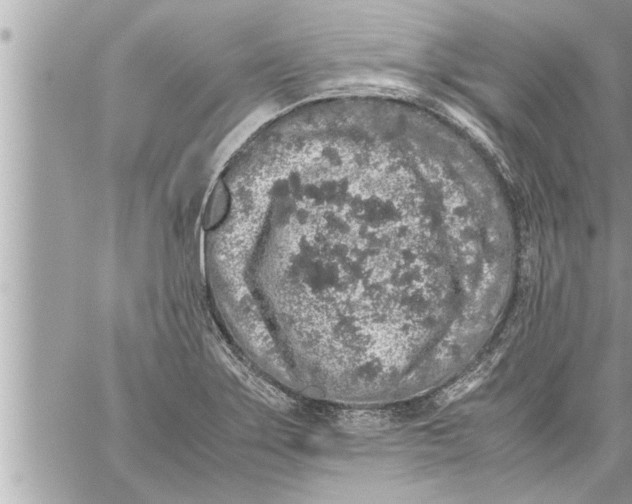 X0000059851275200511111801