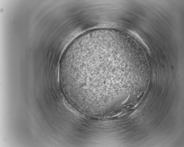 X0000059851276200511111801