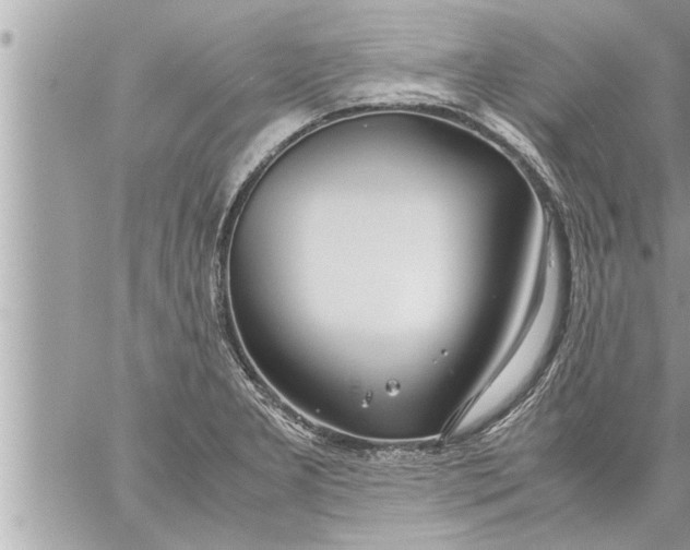 X0000059851277200511111801