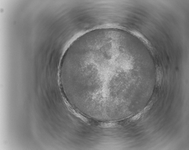 X0000059851278200511111801