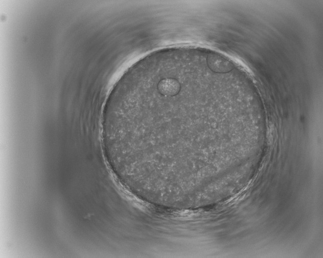 X0000059851279200511111801