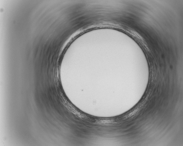 X0000059851280200511111801