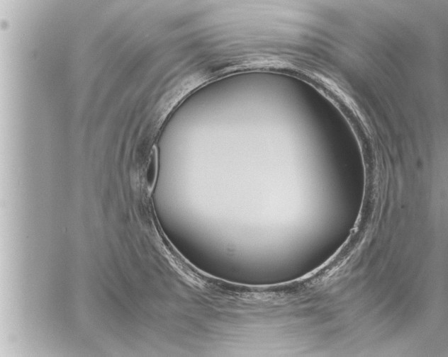 X0000059851281200511111801