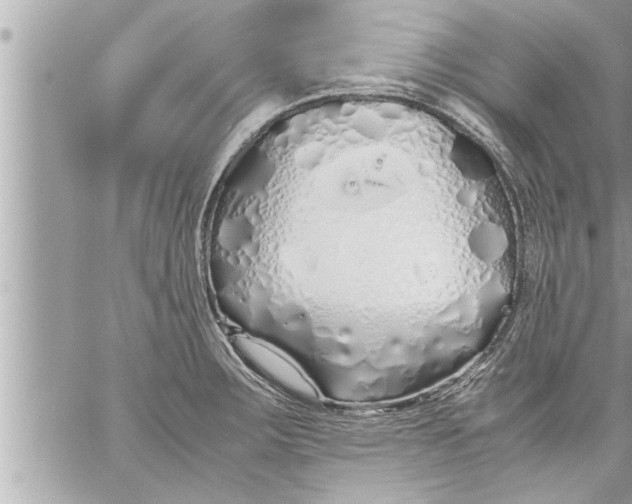 X0000059851283200511111801