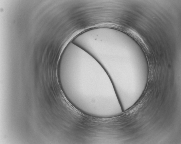 X0000059851284200511111801