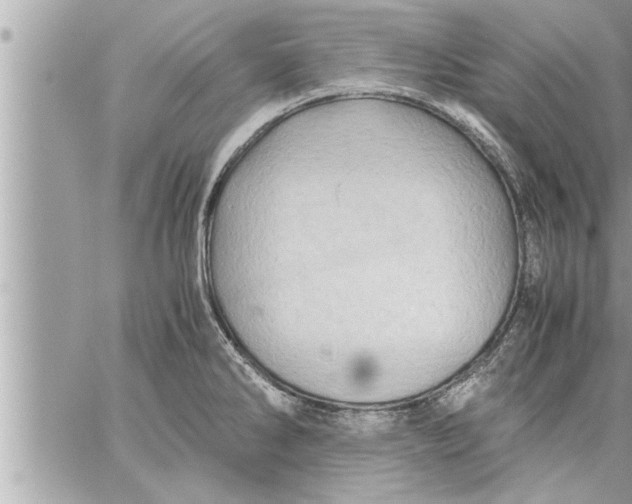 X0000059851286200511111801