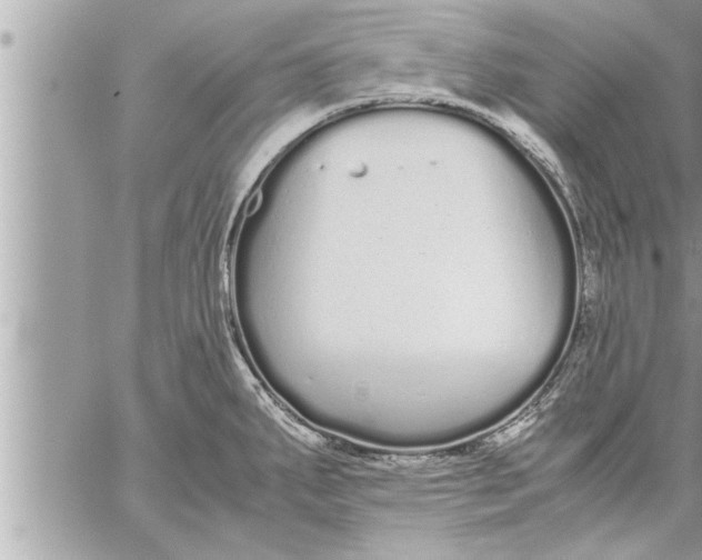 X0000059851287200511111801