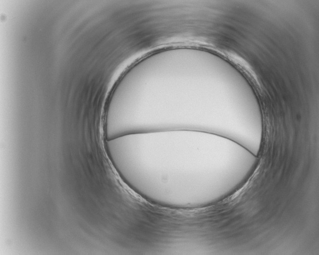 X0000059851288200511111801