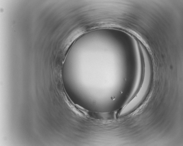 X0000059851289200511111801