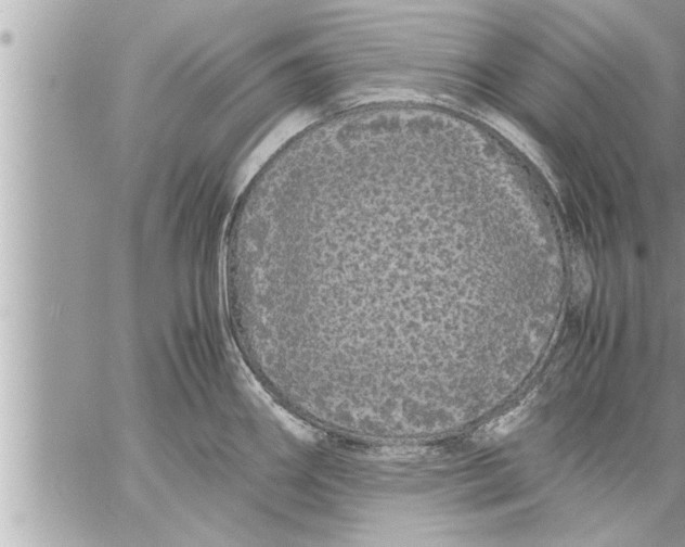 X0000059851290200511111801