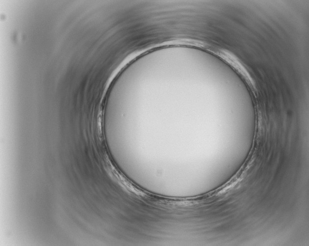 X0000059851292200511111801