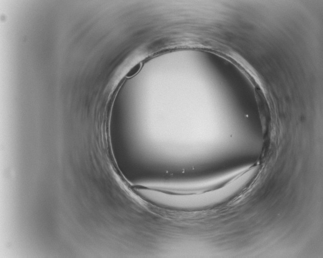 X0000059851293200511111801