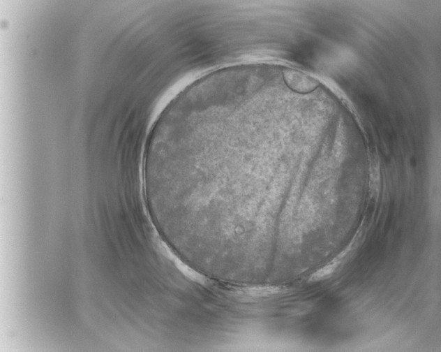 X0000059851294200511111801