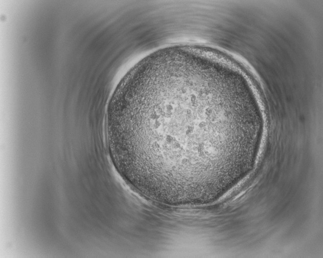 X0000059851295200511111801