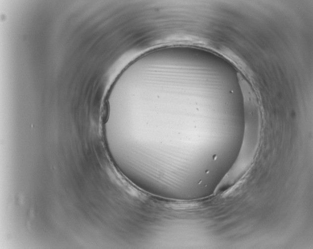 X0000059851296200511111801